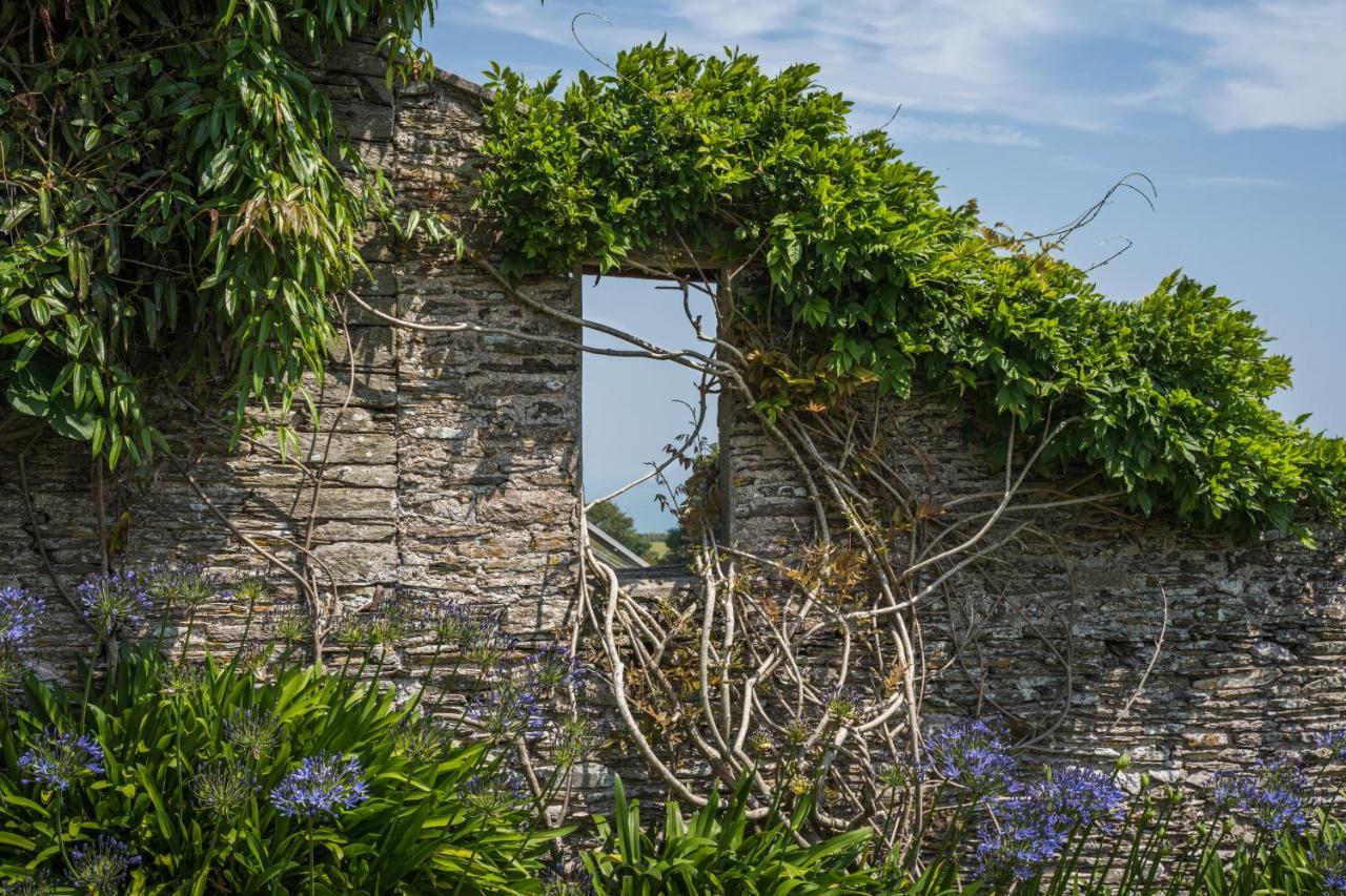 فندق Strete Barton House المظهر الخارجي الصورة